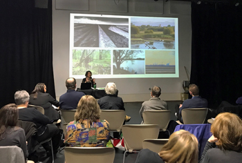 Woman speaking at a podium in front of a Powerpoint scree, with an audience listening