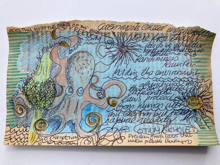 Drawing of an octopus and underwater plants with lots of writing across it